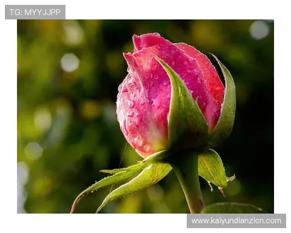 单机水果老虎机大满贯：如何轻松实现高额奖金的实用指南