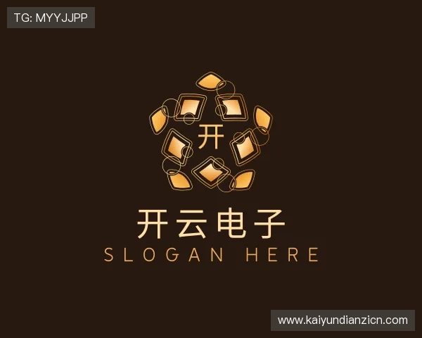 介绍开云电子